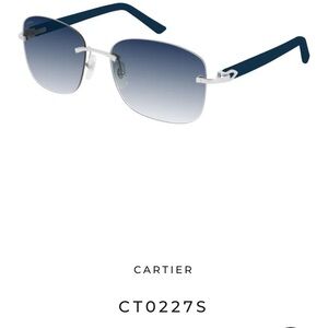 Cartier Blue Casual Shorts